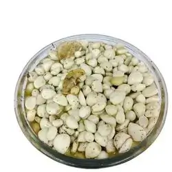 Garlic With Thyme 1Kg