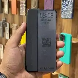 Case  S21