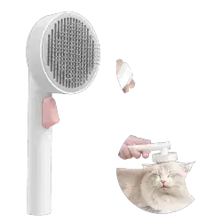 Brush