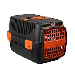 Pet Carriage