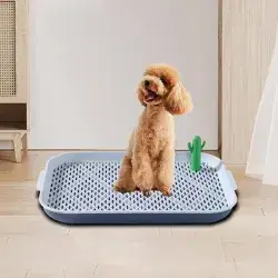 Dog Toilet Training 45 x 33 x 5 cm