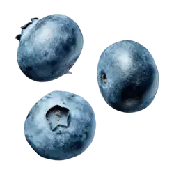 Blue Berry