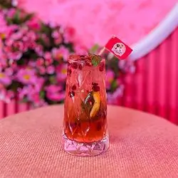 Pomegranate Mojito