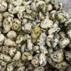 Marinated Garlic - Half kilo