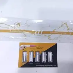 Pregnancy Test