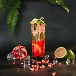 Pomegranate Mojito