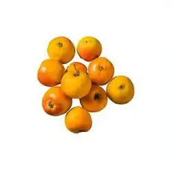 Hawthorn