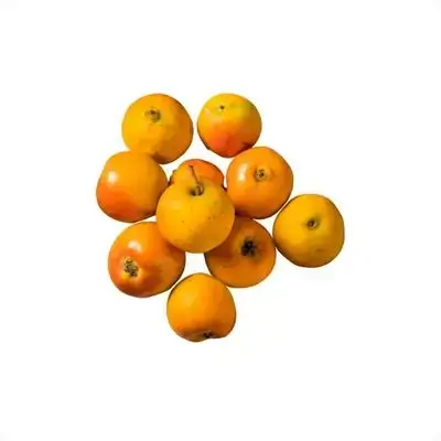 Hawthorn