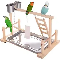 Bird Stand