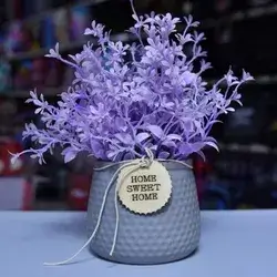 Plastic Plant Gift