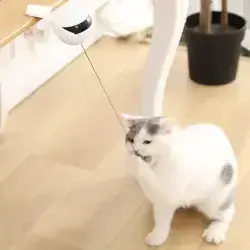 Asdf Interactive Cat Toy
