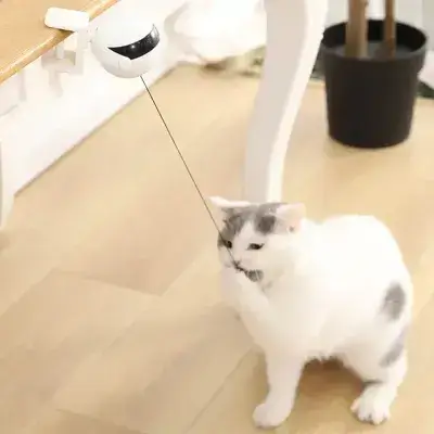 Asdf Interactive Cat Toy