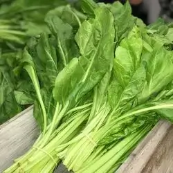 Chard
