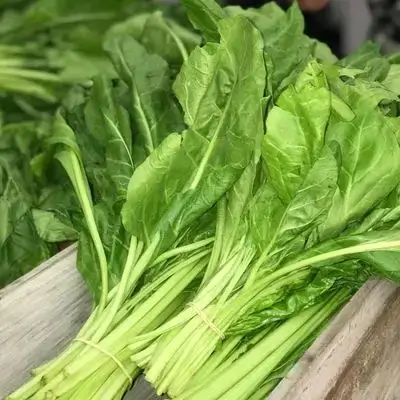 Chard