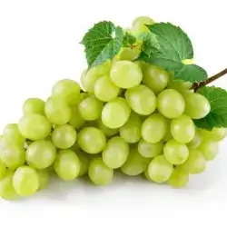 White Grapes