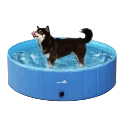 Pool 165 CM