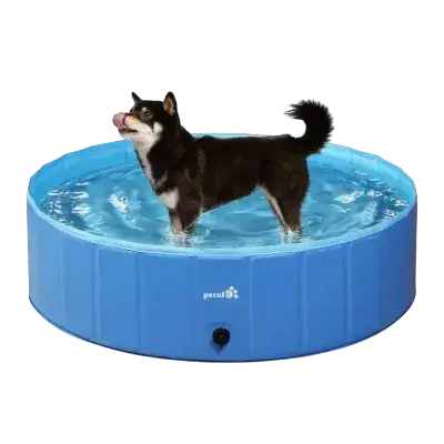 Pool 165 CM