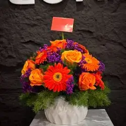Flower Box