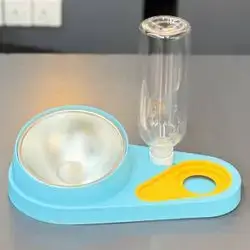 Double Cat Bowls Water & Food Bowl Set 