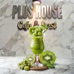 Kiwi Smoothie