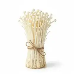 Vermicelli Mushroom