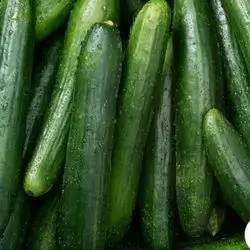 Cucumber
