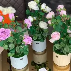 Flower With Vase