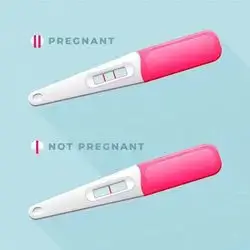 Pregnancy Test