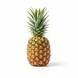 Pineapple - 1 Pcs