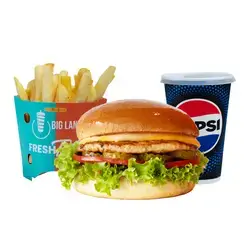 Chicken Burger Combo