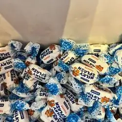 Milk Flavored Chocolate
