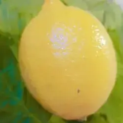 Lemon
