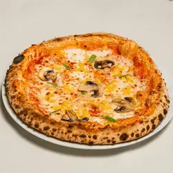 Vegetable Pizza