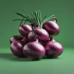Purple Onion