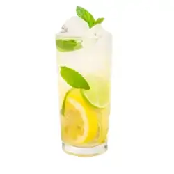 Mint & Lemon Cocktail