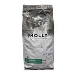 Molly Mini Adult Salmon 2kg