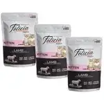 Felicia Kitten Lamb 12x