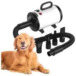 Hair Dryer