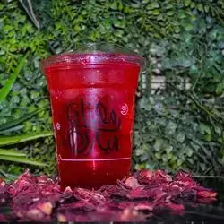 Hibiscus Watermelon
