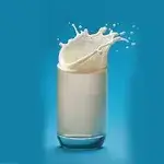 Hot Milk