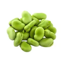 Broad Beans Fresh 1 Kg