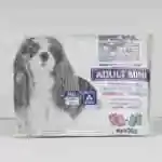 Special Dog Excellence