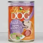 Special Dog