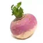 Turnip