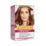 L'oreal Excellence Hony Brown No7.7