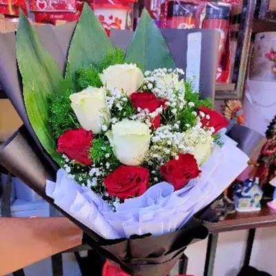 چەپکە گوڵە سروشتی، گوڵ سوور، گوڵ سپی، گیپس، سەوزە، پاکەت