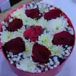 Circular Box Rose Red Rose White White Accessories
