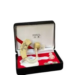 Voice Amplifier