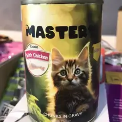 master