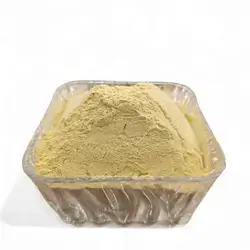 Ginger